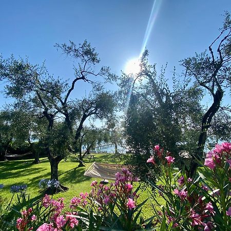 Villa Schindler Manerba del Garda Luaran gambar